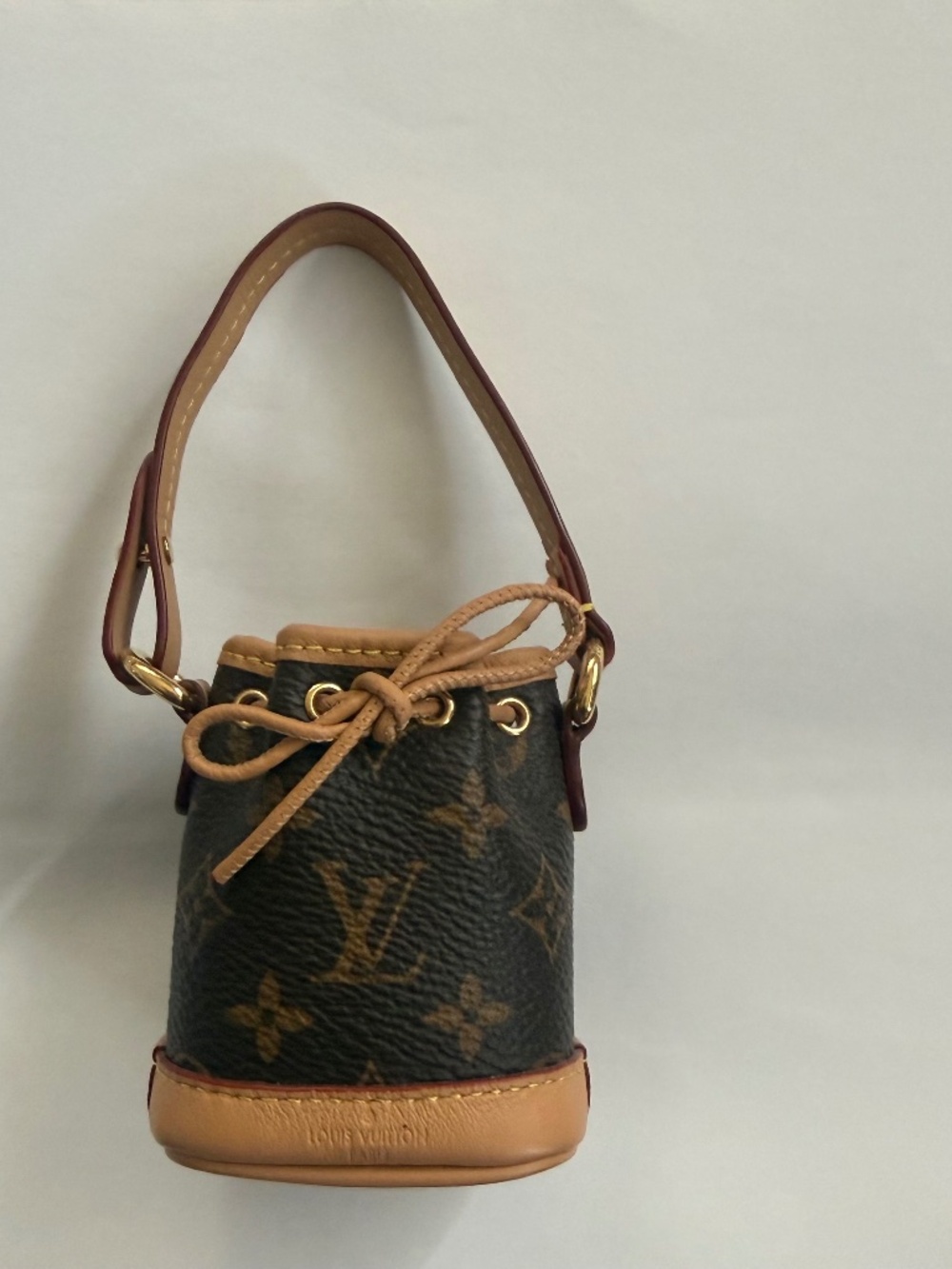 Louis Vuitton Micro Nor Bag/Charm